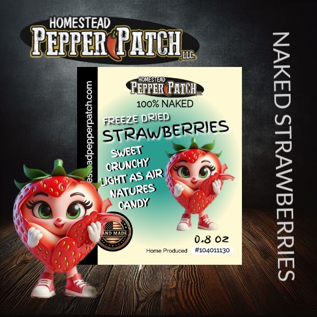 FREEZE DRIED NAKED STRAWBERRIES (RETURNS SPRING 2025)