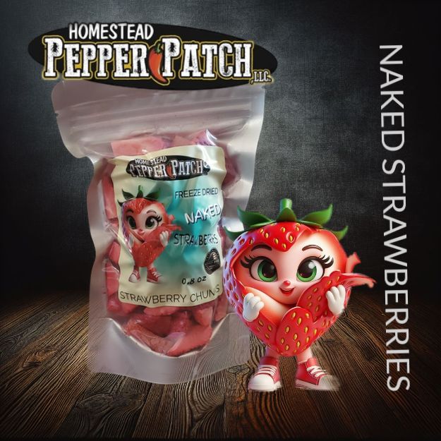 FREEZE DRIED NAKED STRAWBERRIES (RETURNS SPRING 2025)