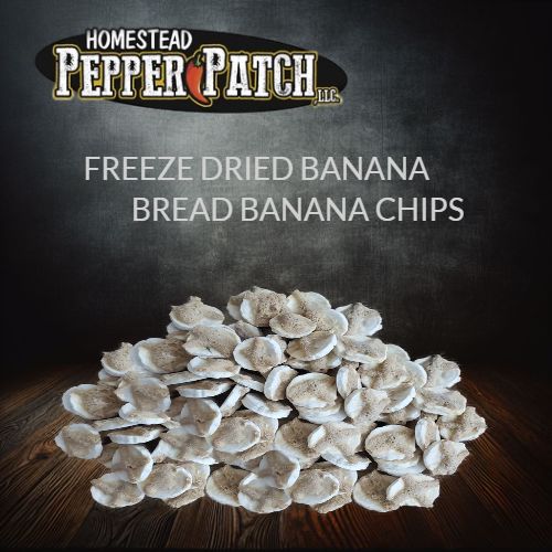 FREEZE DRIED BANANA BREAD BANANA CHIPS 2oz