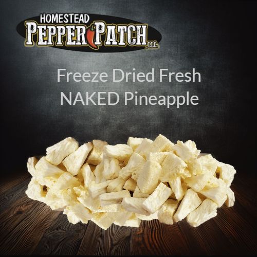 FREEZE DRIED FRESH NAKED PINEAPPLE  1.4oz